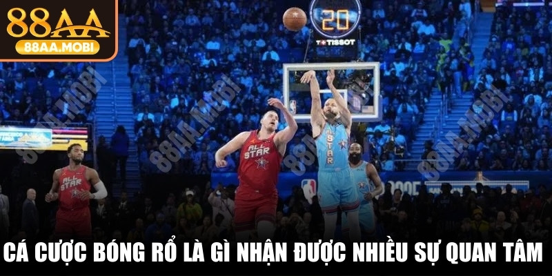 Cá cược bóng rổ là gì nhận được nhiều sự quan tâm của người chơi