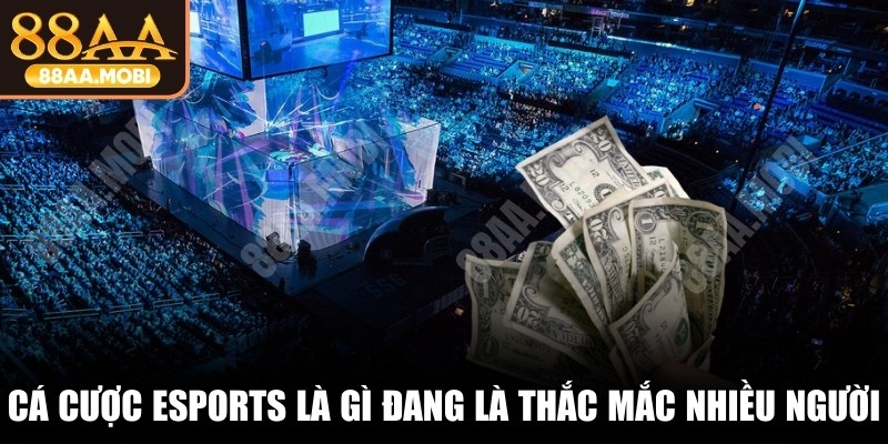 Cá cược Esports là gì đang là thắc mắc của rất nhiều người
